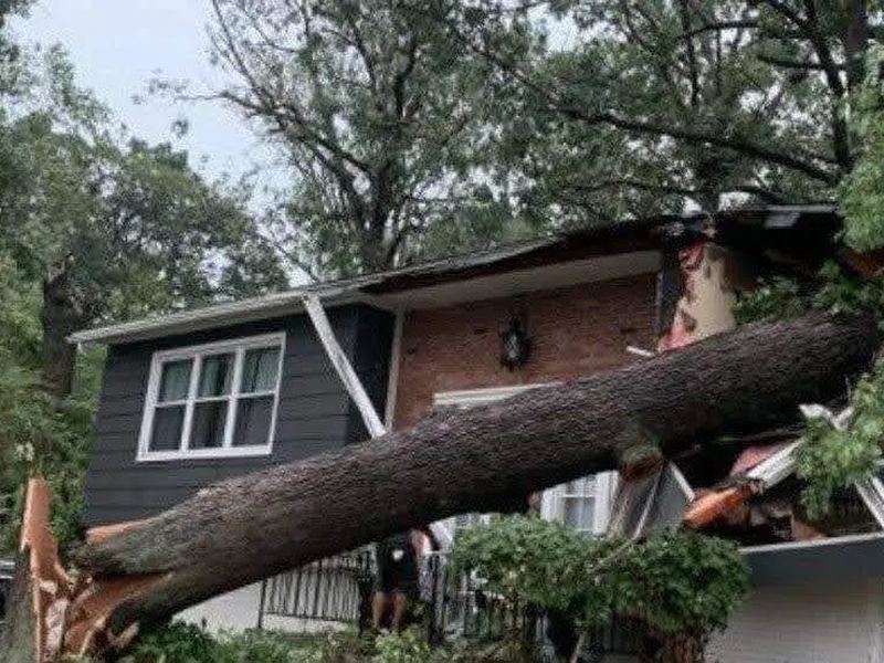 Tree removal job near Ashland, NE
