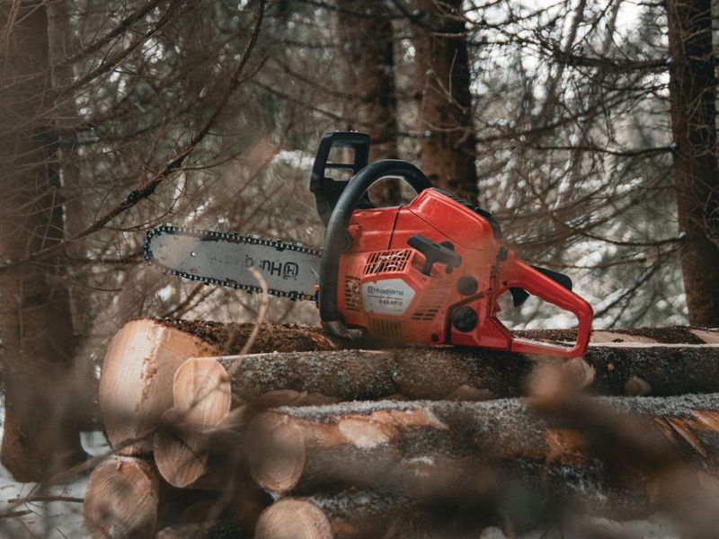 Tree removal job in the Benson neighborhood of Omaha