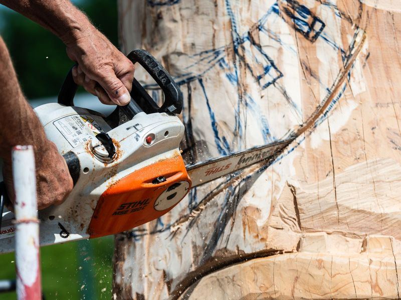 Tree removal job in the Blackstone neighborhood of Omaha